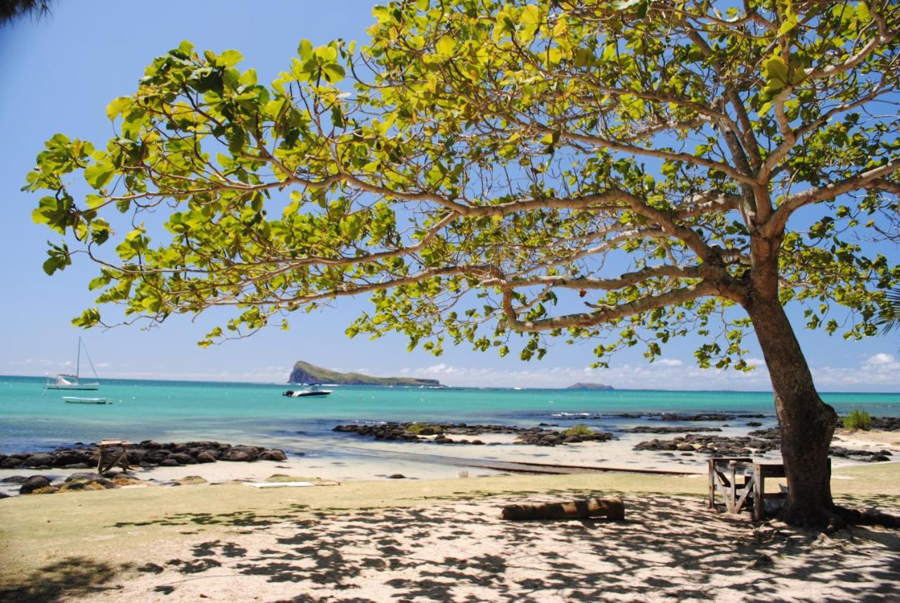 Sea-Lily Beach Villa Belle Mare Eksteriør bilde